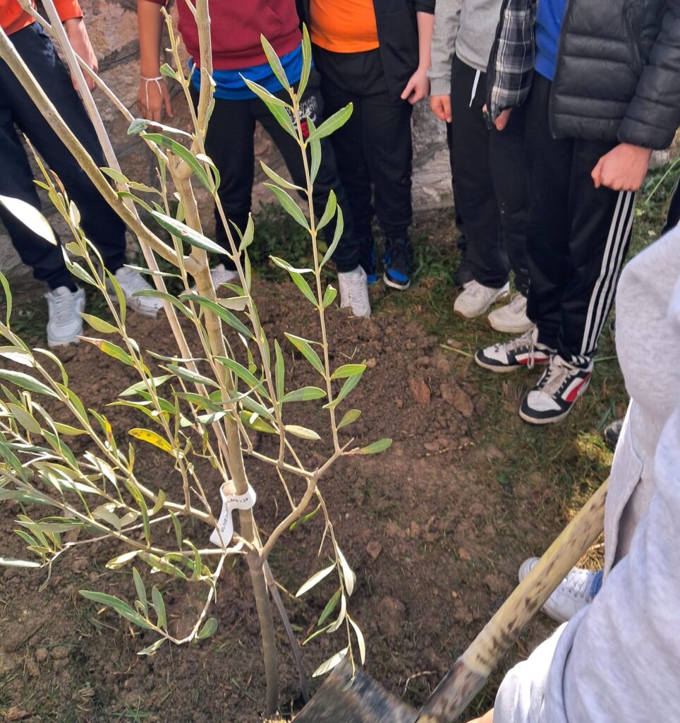 Piantumazione Appignano del Tronto Amicambiente
